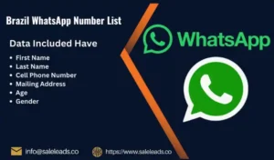 Brazil WhatsApp Number List