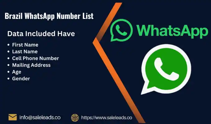 Brazil WhatsApp Number List