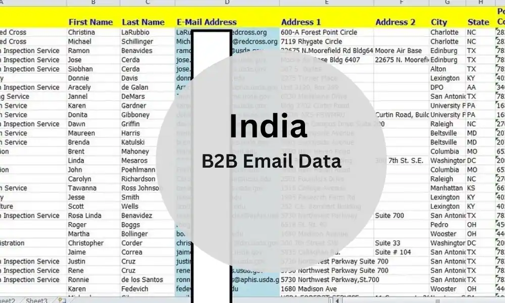 India B2B Email List