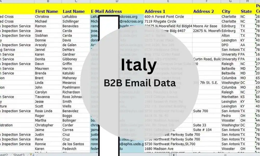 Italy B2B Email List