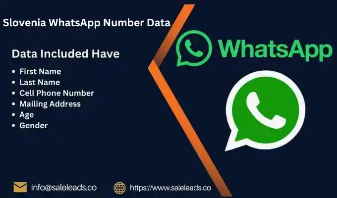 Slovenia WhatsApp Number Data