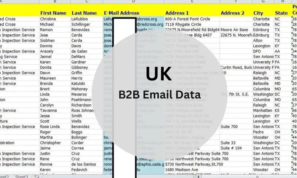 UK B2B Email List