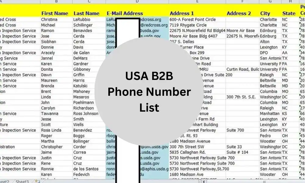 USA B2B Phone Number List